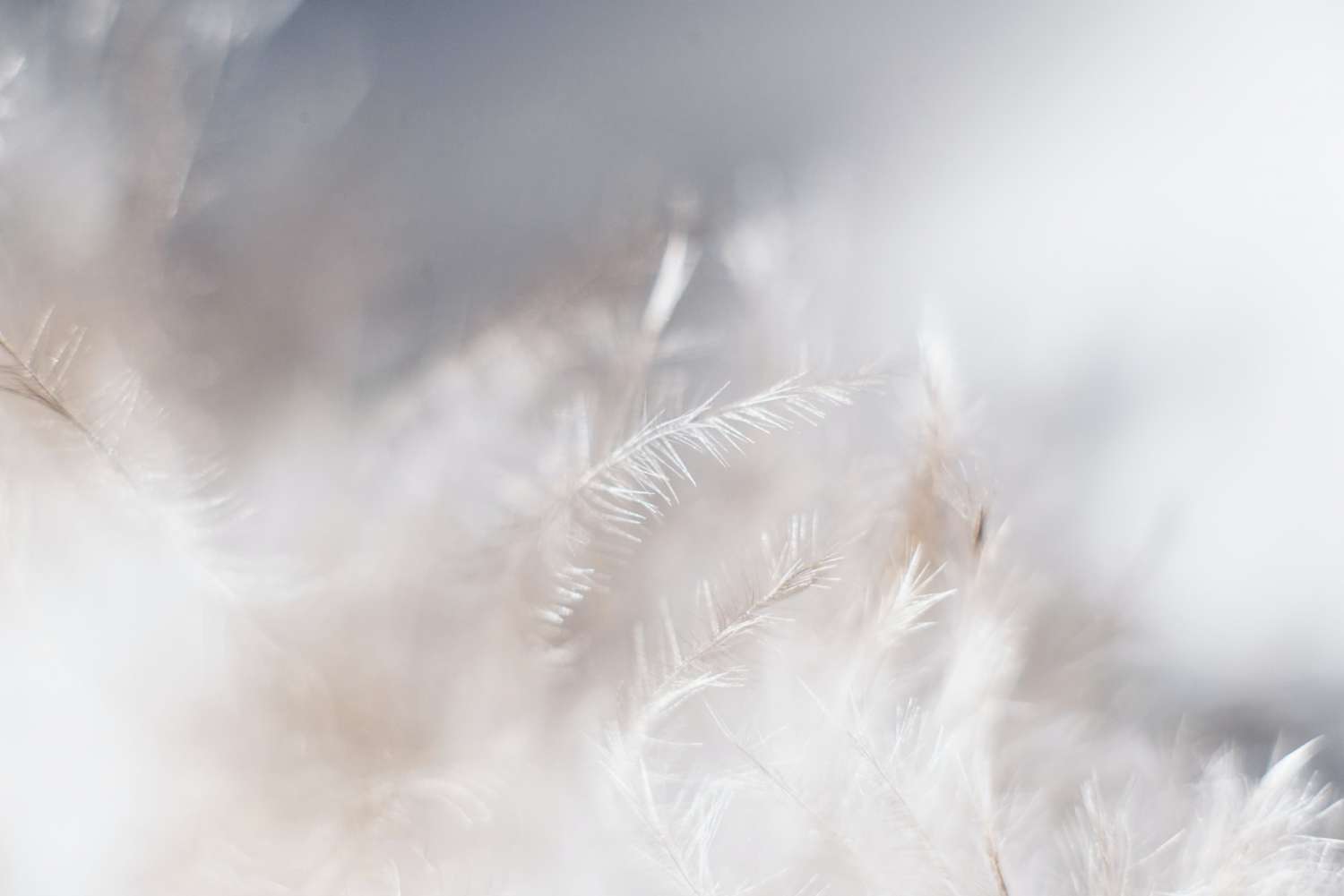 Evie-s-sw7f58yjbc0-unsplash